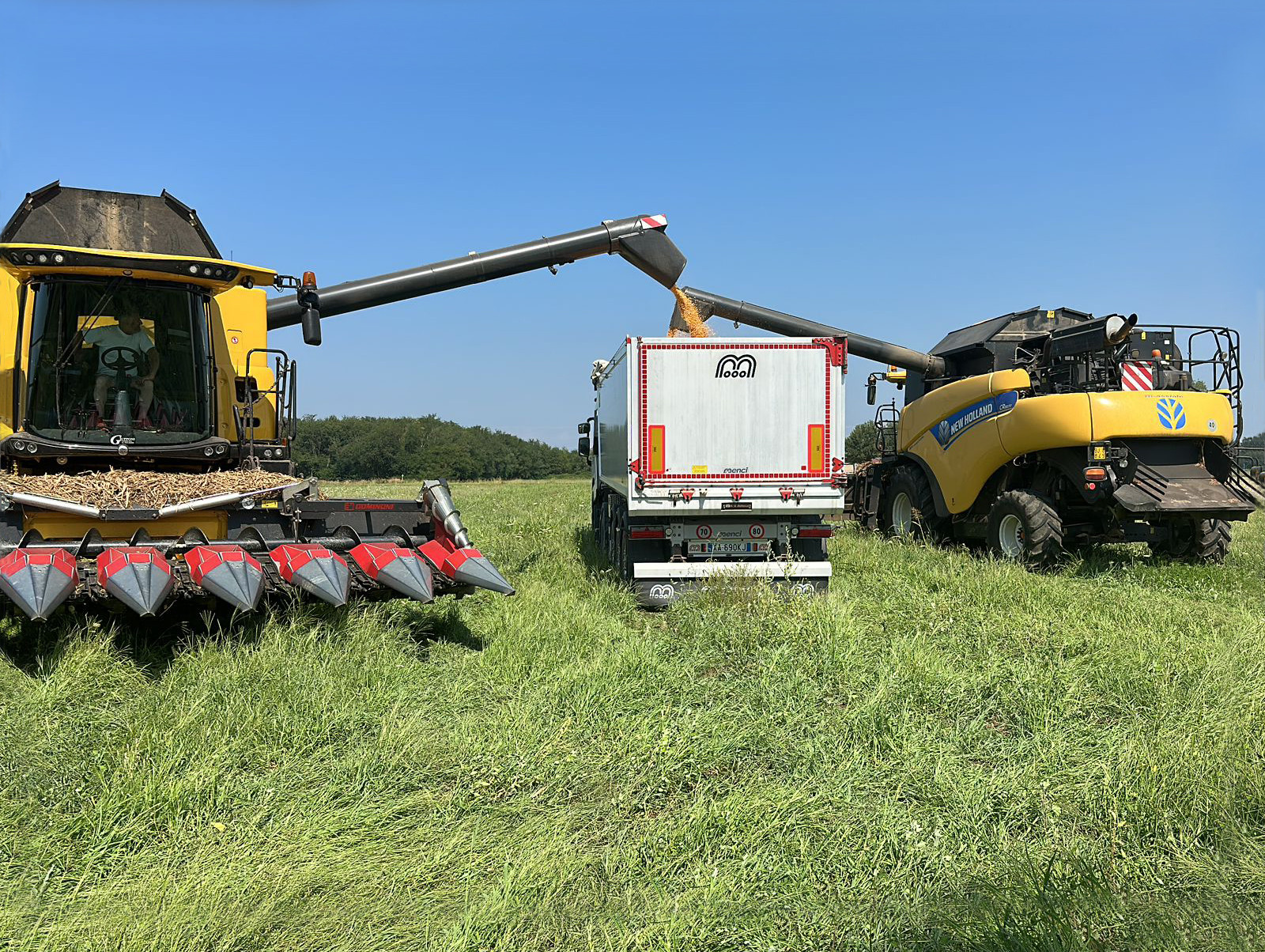 ⚠️ Пропозиція для аграріїв від MENCI 🇮🇹